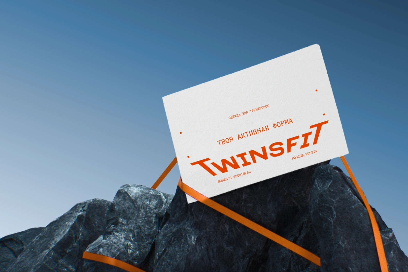 Программа антикризисного аудита — кейс TWINSFIT
